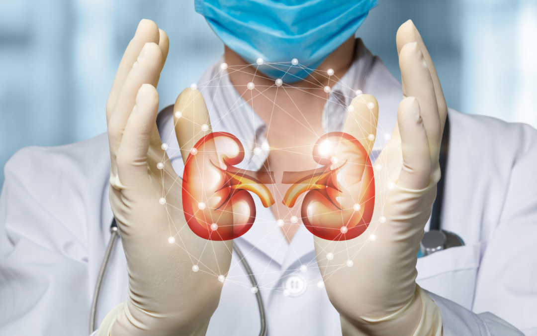 The Unsung Heroes: Understanding the Vital Role of Kidneys