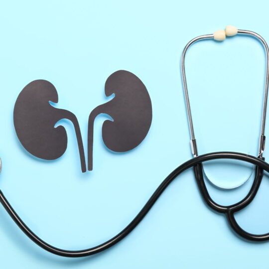 Summertime Renal Health: How To Keep Your Kidneys Healthy In The Heat