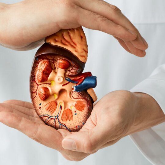 The Nephrologist’s Role in Caring for Your Kidneys