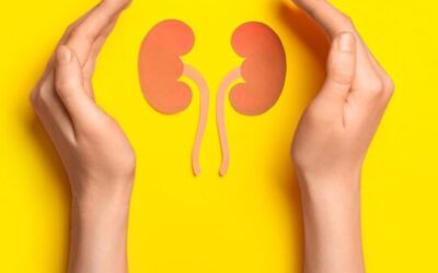 Unraveling Kidney Health: Vital Insights for Wellness