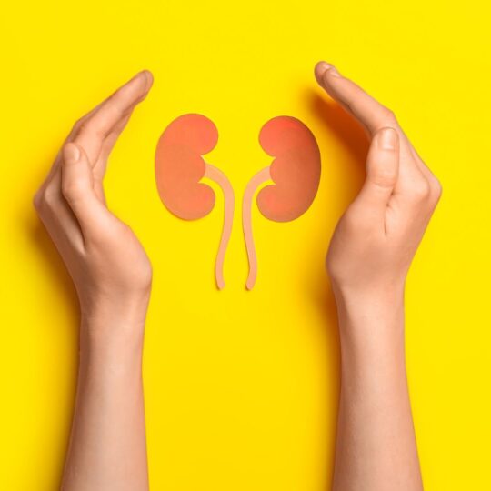 Unraveling Kidney Health: Vital Insights for Wellness